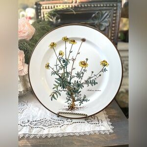 Villeroy & Boch Botanica Anthemis tinctoria floral botanical dinner plate